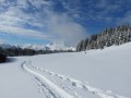 Une jolie plaine enneigée s'offre à nous Une jolie plaine enneigée s'offre à nous