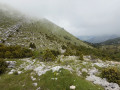 Une lande de pierres et de végétation basse succède à la forêt