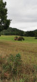 Autour de Saint-Étienne-les-Orgues