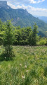 Col du Rousset, Cabane Pré Peyret et retour par le Balcon du Glandasse