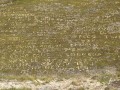 Une page d'écriture