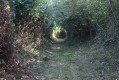 Une Partie du chemin