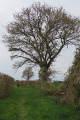 Boucle nature autour de Lignières-la-Carelle