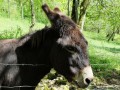 Une rencontre inatendue