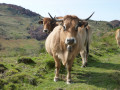 Une rencontre
