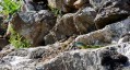 Une rencontre Une rencontre