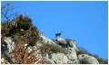 Une rencontre