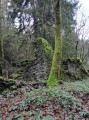 Une ruine à la Dauphinée