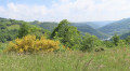 Les Corniches du Tarn à Fraissines Les Corniches du Tarn à Fraissines