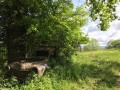 Une vieille voiture dans la nature