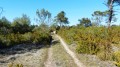 Une voie dans la garrigue