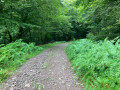 Le tour des Granges du Bois et du canton de Bambois depuis Raddon