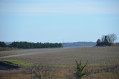 Une vue des vignes