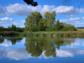 Une vue sur les marais d'Harchies