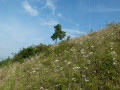 Unterwegs im Naturschutzgebiet Hammelberg