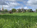 La balade du vignoble gaillacois et de ses châteaux