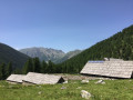 Vacherie du Collet