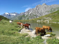 Le chalet des Nants et le sentier balcon