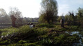 Vaches BPN