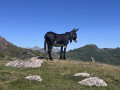 val&eacute;rie64