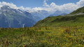 Vallée de Bozel