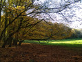 Vallée de Chavigny