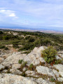 Vallée de Gigean, Cournonterral et Fabrègues