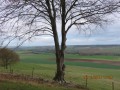 Grandcourt - Massif de la haute Forêt d'Eu Grandcourt - Massif de la haute Forêt d'Eu