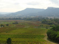 Dent de Marcoule et Château de Gicon