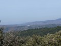 Vallée de la Durance