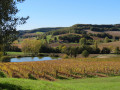 Le Castrum de Flaugnac