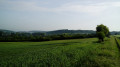 De Beynes à Verneuil-sur-Seine par l'Étang d'Abbecourt