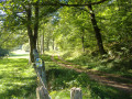 De Cherier (Le Point du Jour) au camping de Saint-Just-en-Chevalet