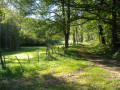 Circuit de la Michonnette au départ des Moulins Cherier