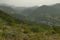 Vallée de la Roanne embrumée