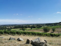Vallée de la Thau