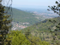 Munster Valley