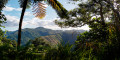 Sentier du Koyaboa (Antenne de Poindimié)