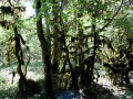 Vallée du Dadou Vallée du Dadou