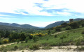 Vallée du Lez