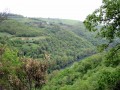Vallée du Tarn