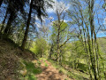 Vallée du Tourdesac