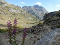 Vallée menant au lac de l'Eychauda