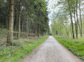 Vallée Surelle