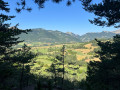 Vallée