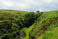 Valley up to Shavercombe Falls