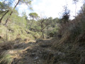 Vallon de Barrelle