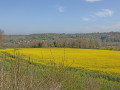 Vallon de Béthancourt en Valois