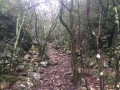 Vallon de Carafat
