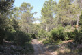 Vallon de Chalabran
